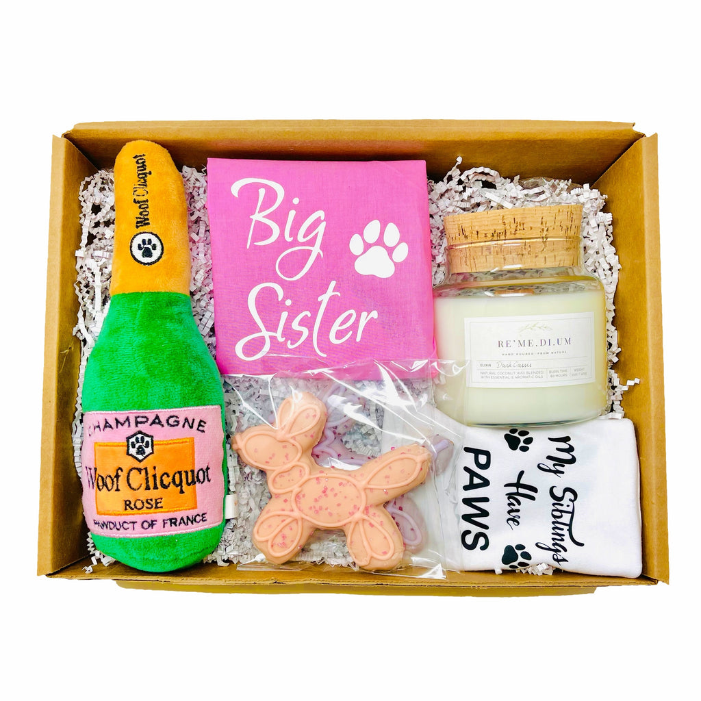 Big Sister Gift Box