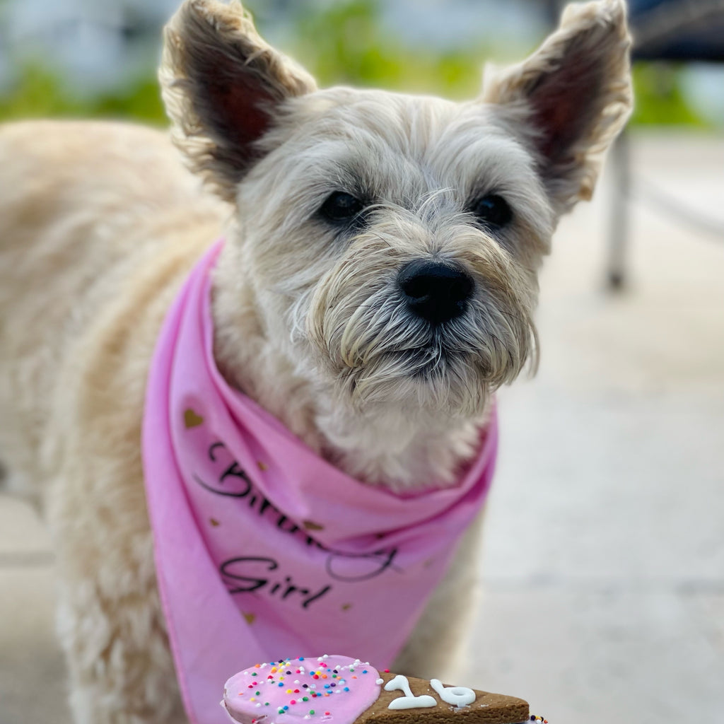 Happy Birthday Girl Gift Box