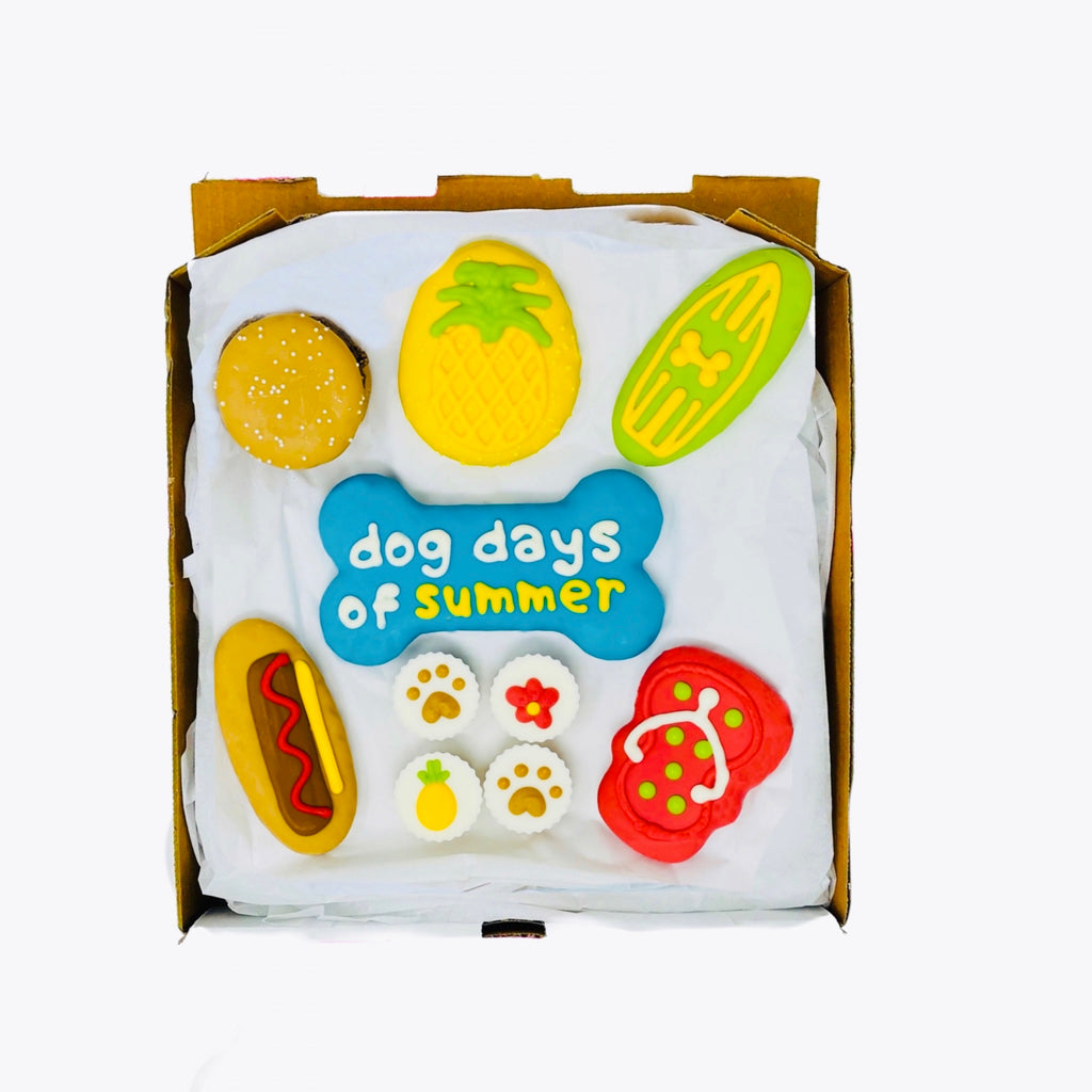 Dog Days of Summer Treat Box