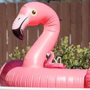 Flamingo Float