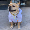 356 Neon Sweater