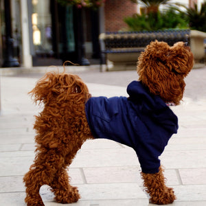 Navy Sweater
