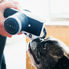 Globetrotter Collection for the Jet-Setting Pup 5-pc Set