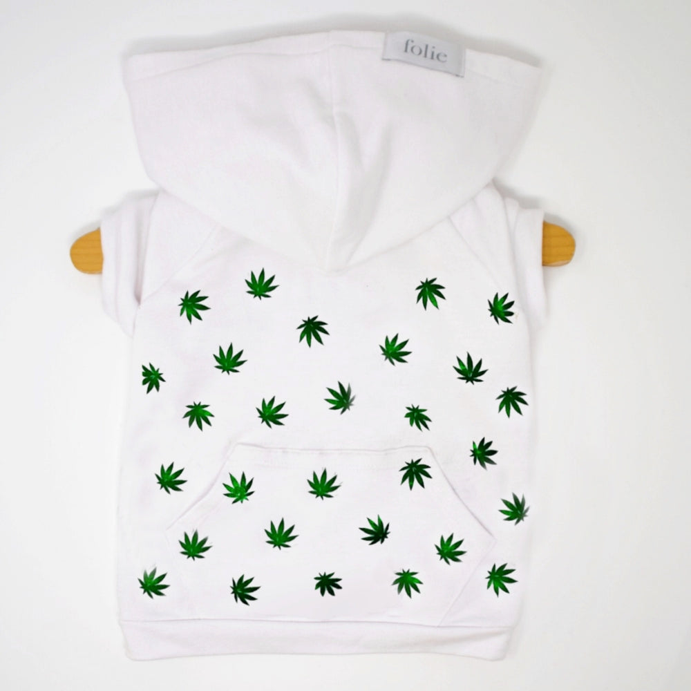 Green Leaf Sweater