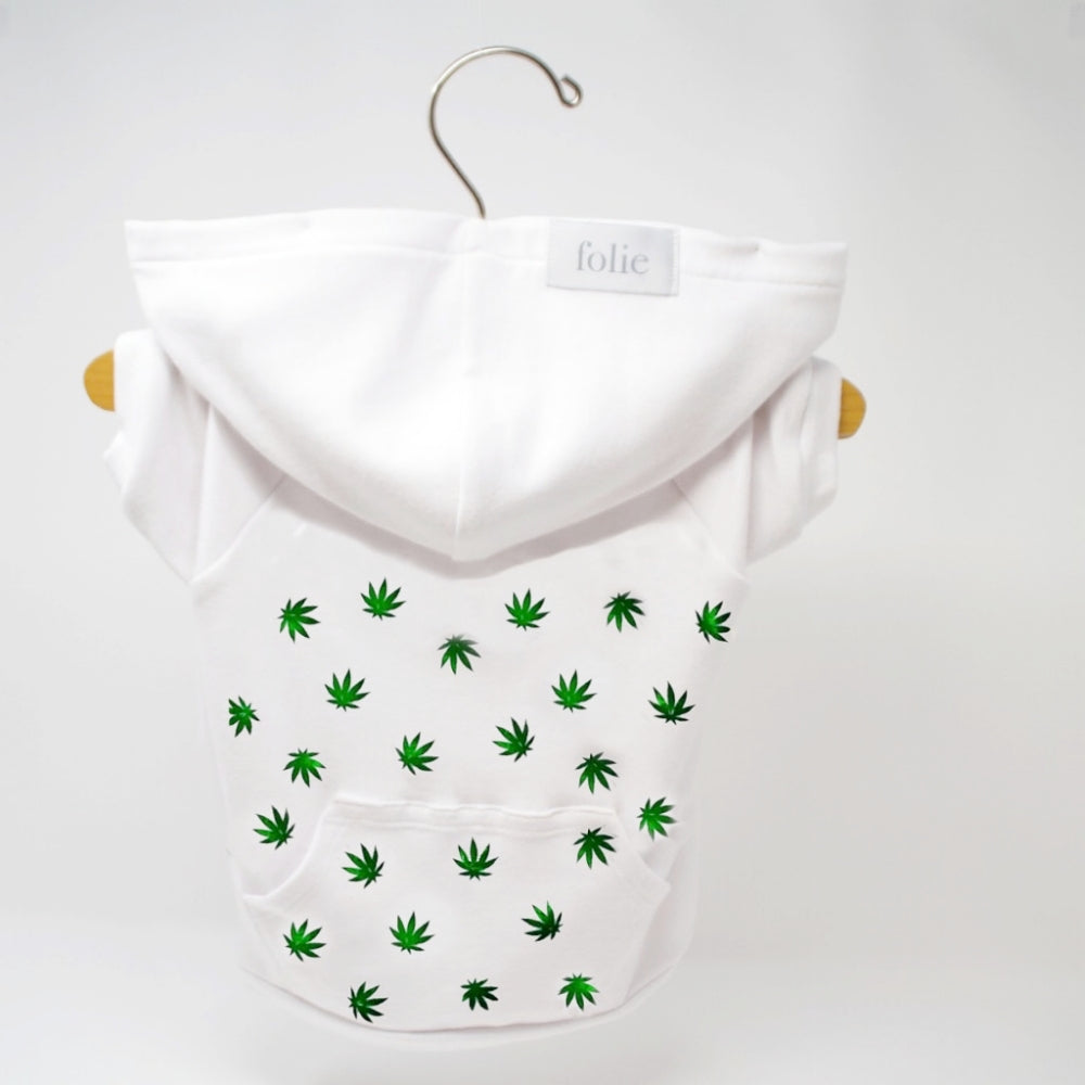 Green Leaf Sweater