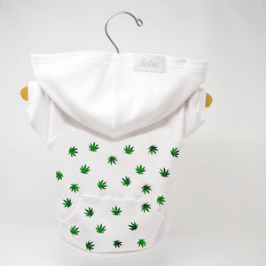 Green Leaf Sweater