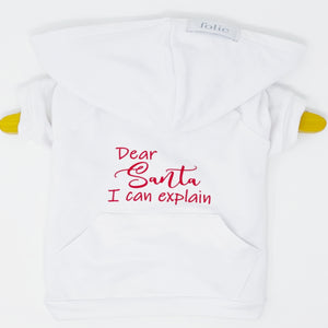 Dear Santa I Can Explain Sweater