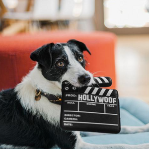 Hollywoof Cinema Collection for Pet, Flicks, and Chill 5-pc Set