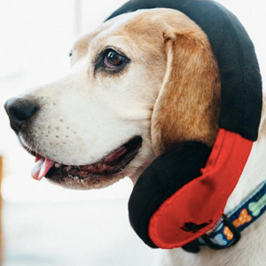 Globetrotter Collection for the Jet-Setting Pup 5-pc Set
