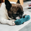 Globetrotter Collection for the Jet-Setting Pup 5-pc Set