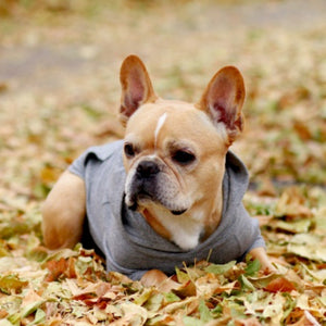 Slightly Dramatic Sweater