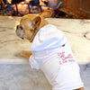 Dear Santa I Can Explain Sweater