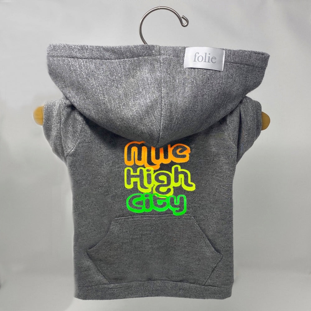 Mile High City Sweater