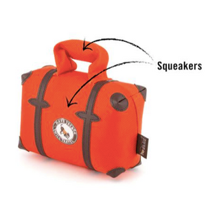 Globetrotter Collection for the Jet-Setting Pup 5-pc Set