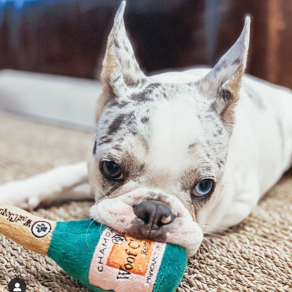 Woof Clicquot Rose' Bottle