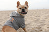 California Dreaming Sweater