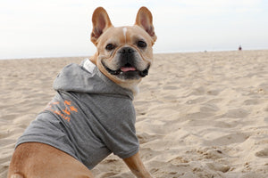 California Dreaming Sweater